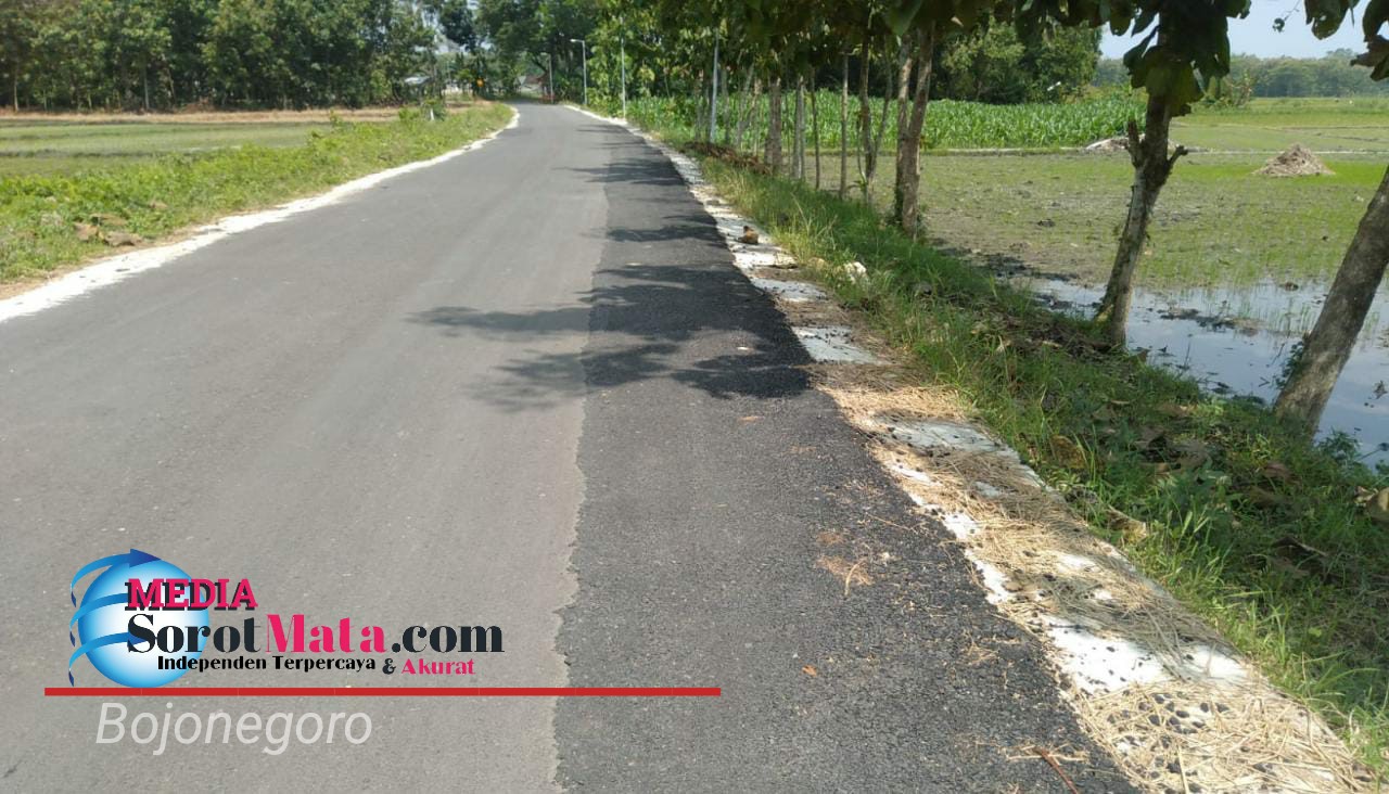 Jalan Aspal Desa Ringintunggal Kecamatan Gayam Banyak Tambalan -  MediaSorotMata.com